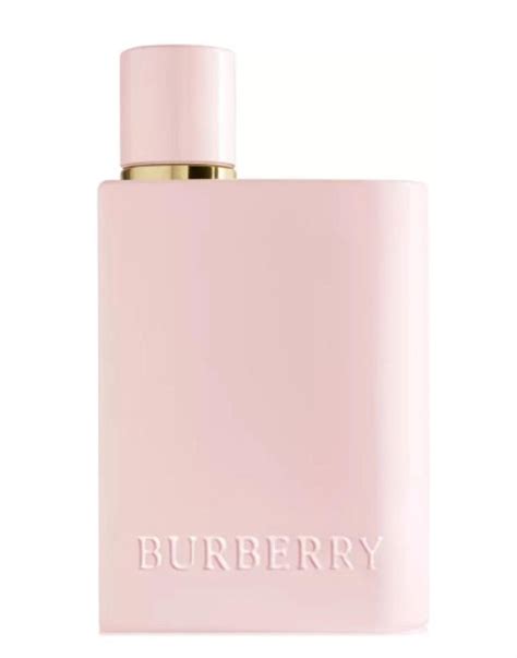 burberry body fragrantica